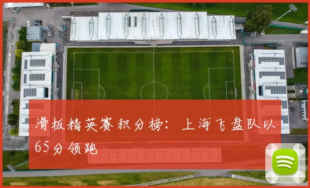 滑板精英赛积分榜：上海飞盘队以65分领跑