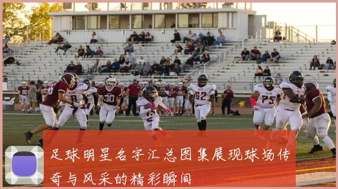 足球明星名字汇总图集展现球场传奇与风采的精彩瞬间