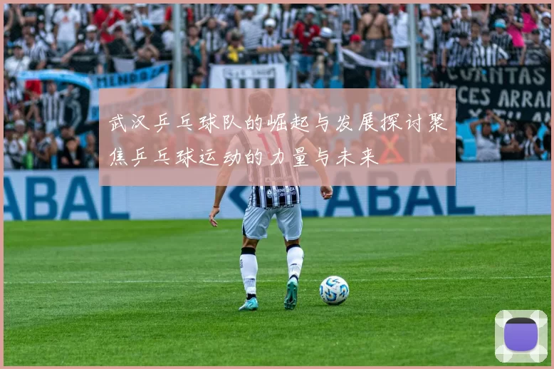 武汉乒乓球队的崛起与发展探讨聚焦乒乓球运动的力量与未来