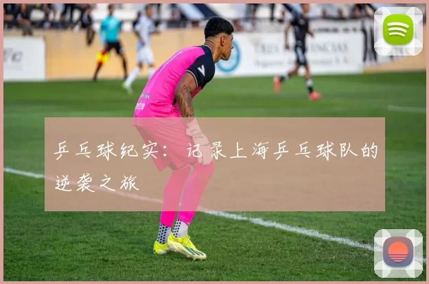 乒乓球纪实：记录上海乒乓球队的逆袭之旅